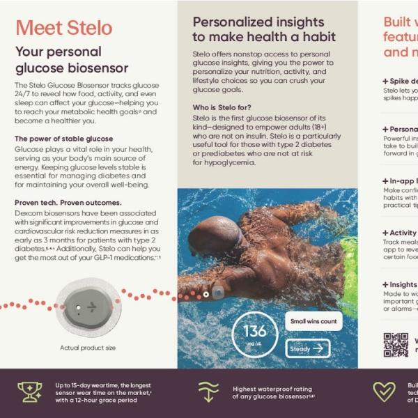 Stelo Educational Brochure Preview